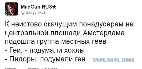 СМИ: 64% голландцев высказались против ассоциации Украины с ЕС