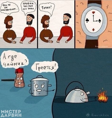 Подборка интересных и веселых картинок