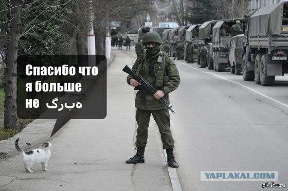 Одно фото из Сирии