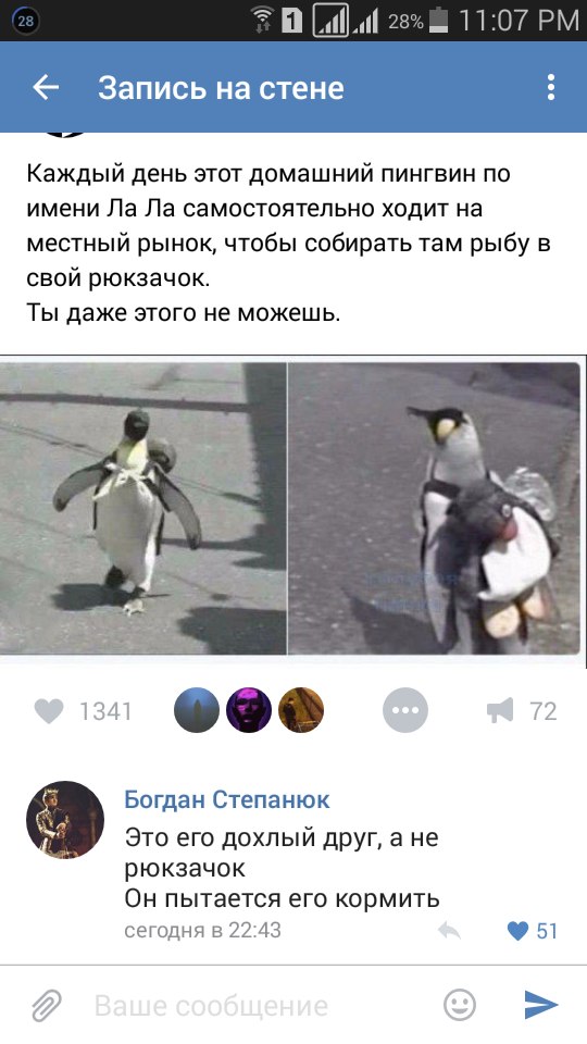 Ужасы и приколы из соцсетей 18+