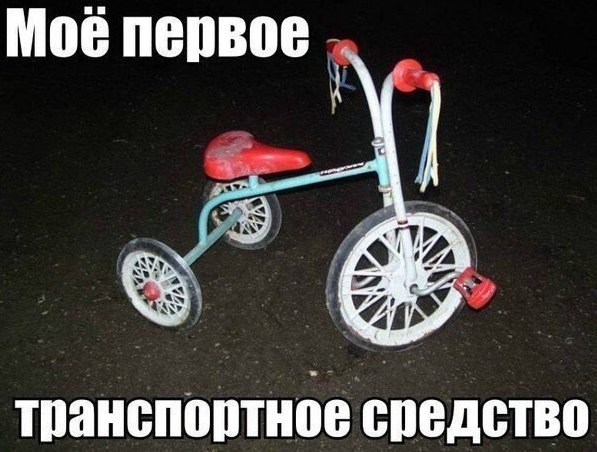 Интересные и веселые картинки