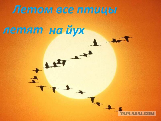 Модели танков.....