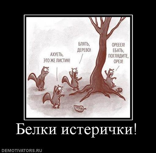 Что не так с этим полотенцем?