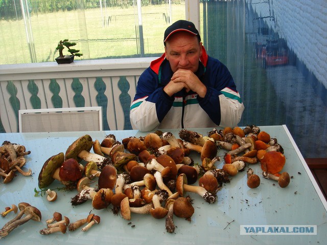 Смелые ЯПовцы.