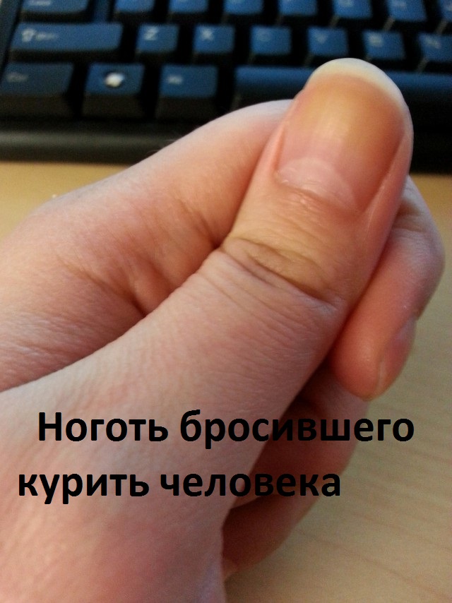Порция картинок