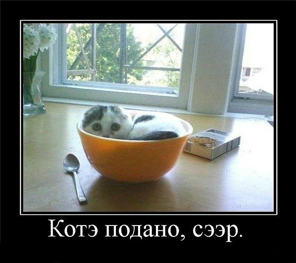 Немножко картинок с буквами, типа демотиваторы