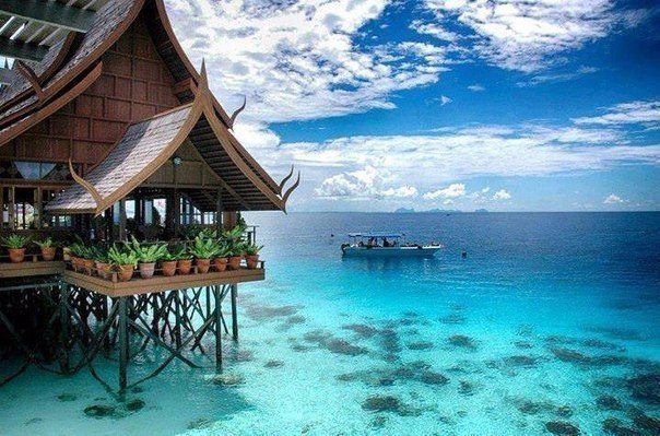 Моменты, запечатлённые на фото и просто позитив 5
