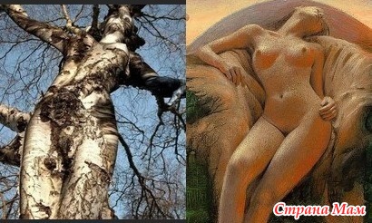 15 неожиданных вещей, которые страшно похожи друг на друга