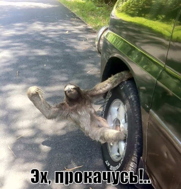Всяко-разно из сети.Часть 4.