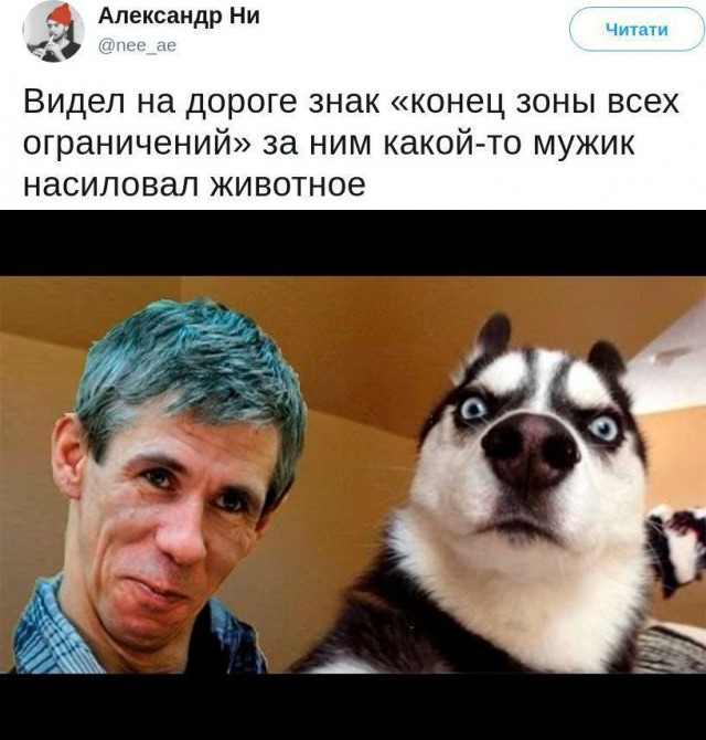 Просто юмор 21
