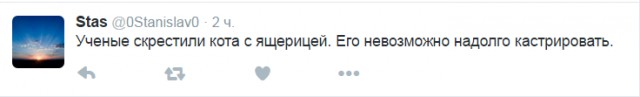 Как определить незамужнюю в офисе