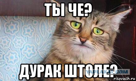 На что они рассчитывали?