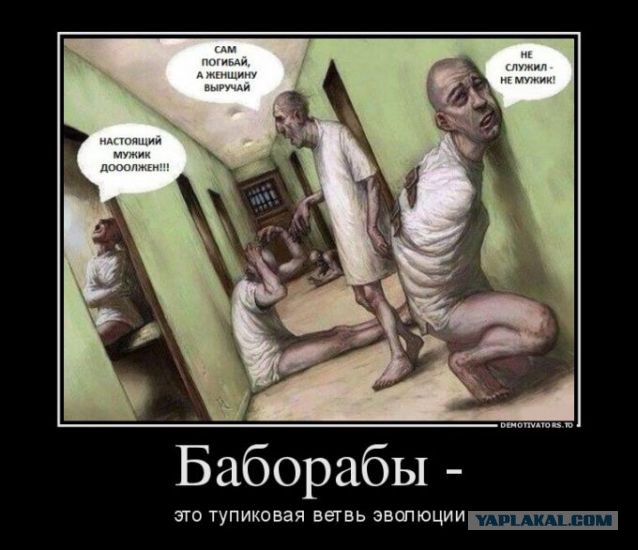Какие законы напринимали для себя баборабы
