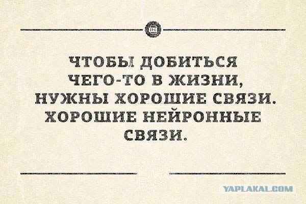 Самому в России, без связей, ничего не добиться...