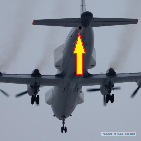 Поставить помеху ракете: как новый Ил-22ПП "Порубщик" заглушит противника