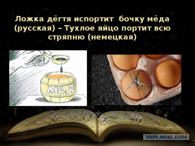 Пятеро депутатов Госдумы пройдут проверку на коррупцию