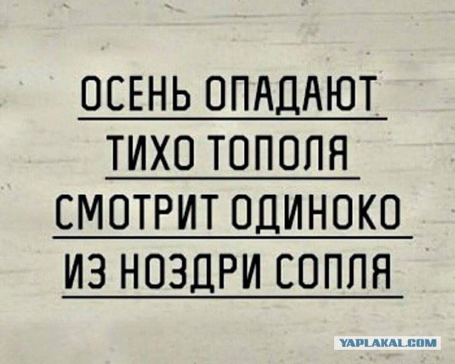 Прикольные комментарии и высказывания из Сети  17.10.2018