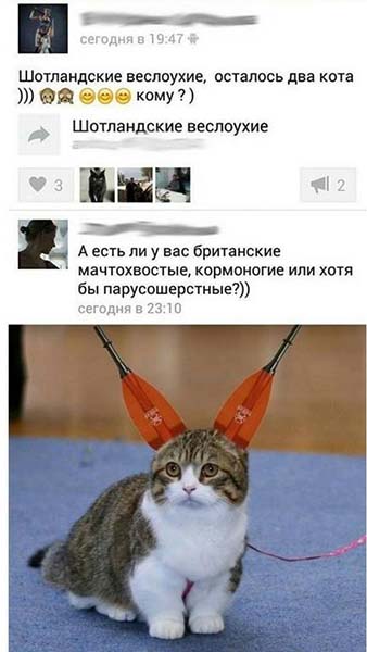 Немного веселых картинок из этих наших интернетов