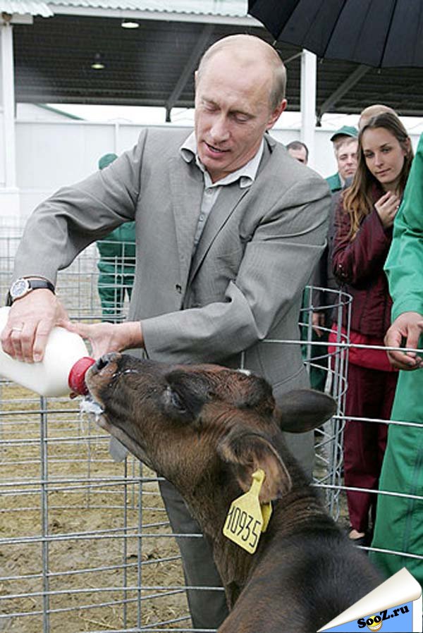 Выловлено в наших сетях