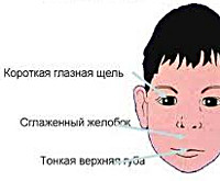 Взяли в 3 месяца, в 7 лет выкинули