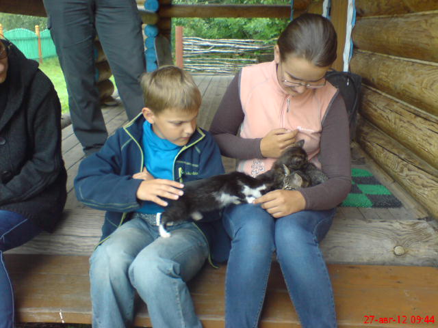 Котовторник 11.09.2012