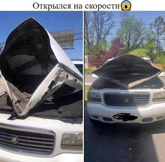 Картинки всякие 17.09.2019