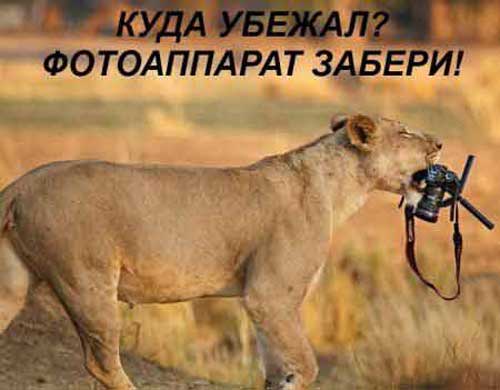Чуток картинок 29.11.19