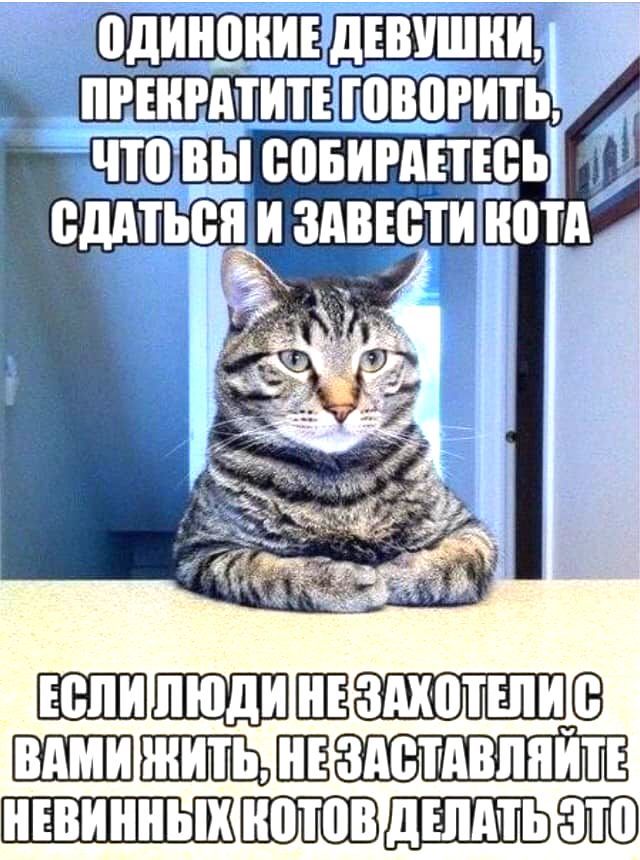 Чуток картинок 11.02.20