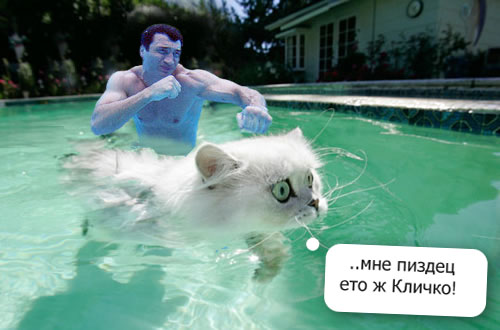 Фотожаба дня: Кличко (26.03.08)