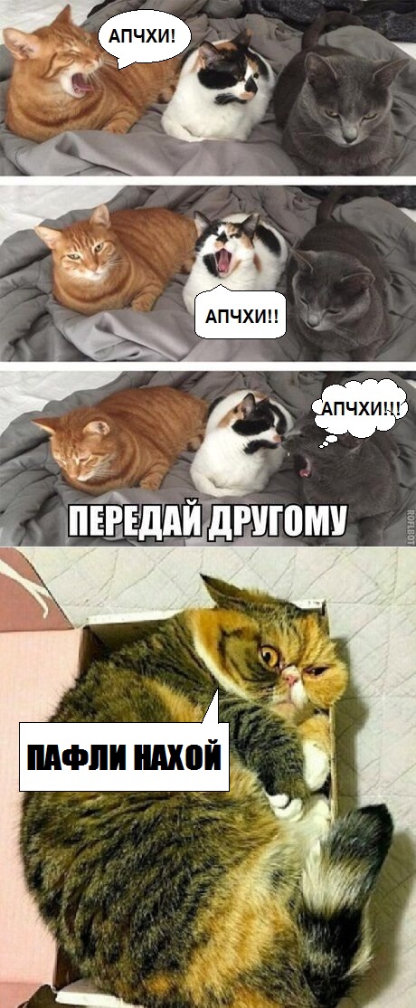 Так себе картинки 17.05.20