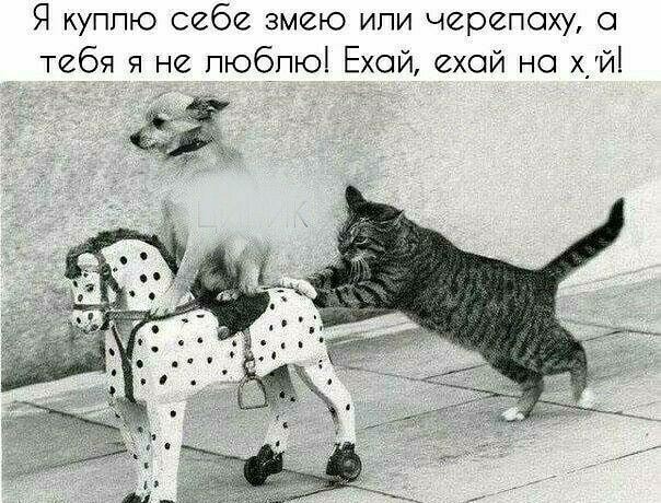 Юмор в картинках 18.10.20