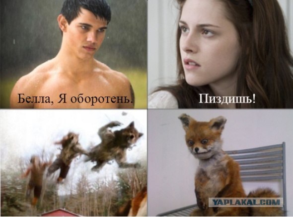 Таксидермия + наркомания