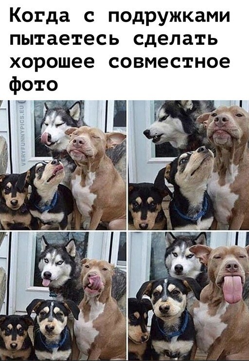 Картинки и мемы для настроения 30.01.21