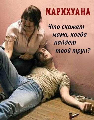 Не травись!