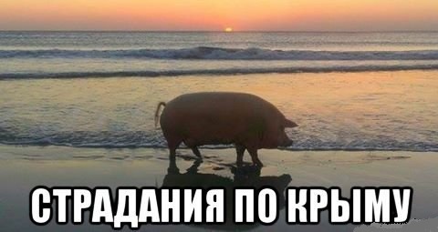 Зеленский обратился к России