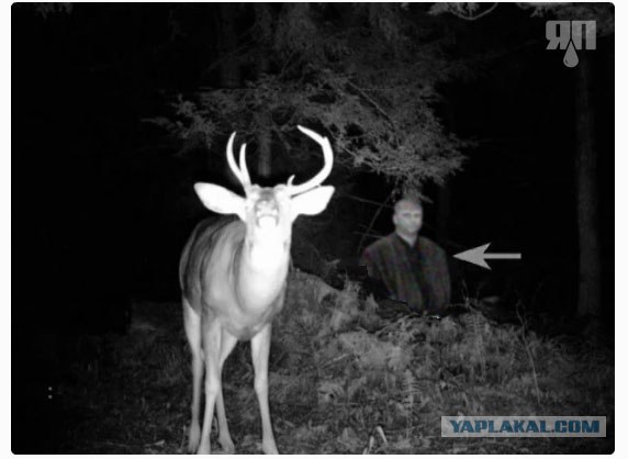 В лесу Пенсильвании засняли пришельца?