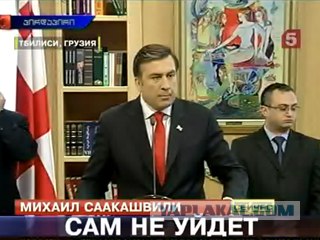 Саакашвили упал с моста