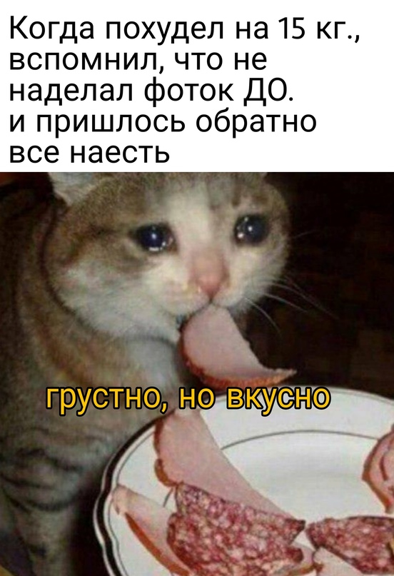 Весёлый полтишок 2.06.2021