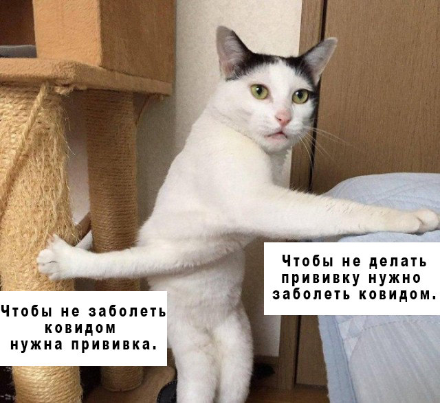 ВОЗ: наличие антител не гарантирует нейтрализацию вируса. Я что-то запутался