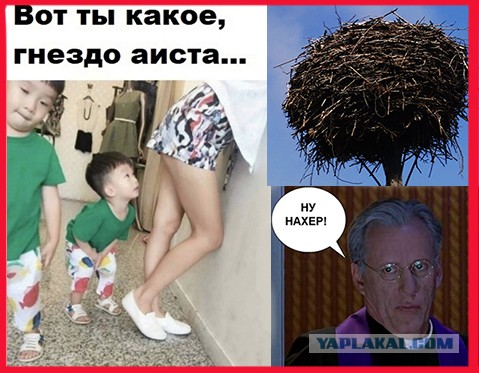 Картинки и мемы для настроения 003