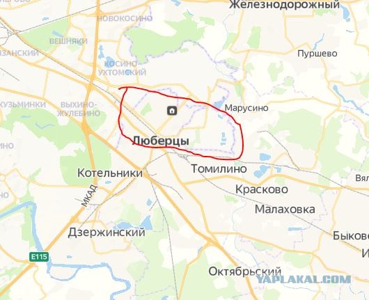 Волонтёры «Лизы Алерт» из-за «пропажи» Светличной, которую «нашёл» Малахов, не успели спасти человека. Он погиб