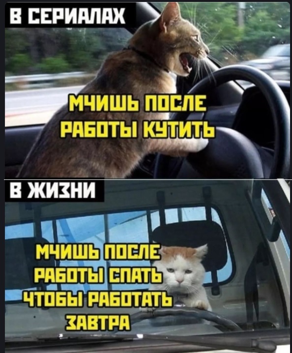 Картинки с надписями и всякие жизненные фразы
