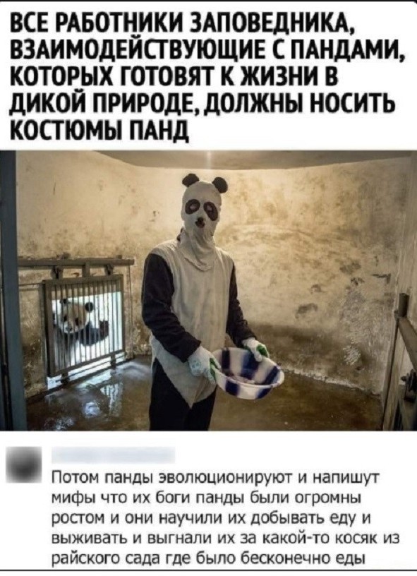Много баяна на тему религии.