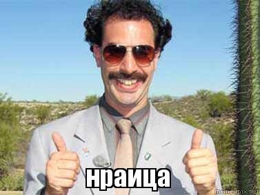 Набор стикеров для VIBER из мемных котов