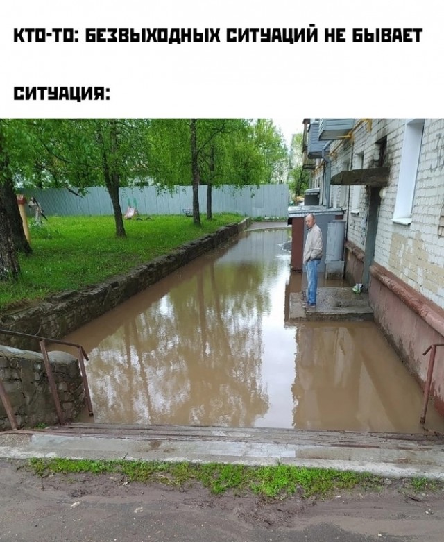 Весёлый полтишок 08.06.2022