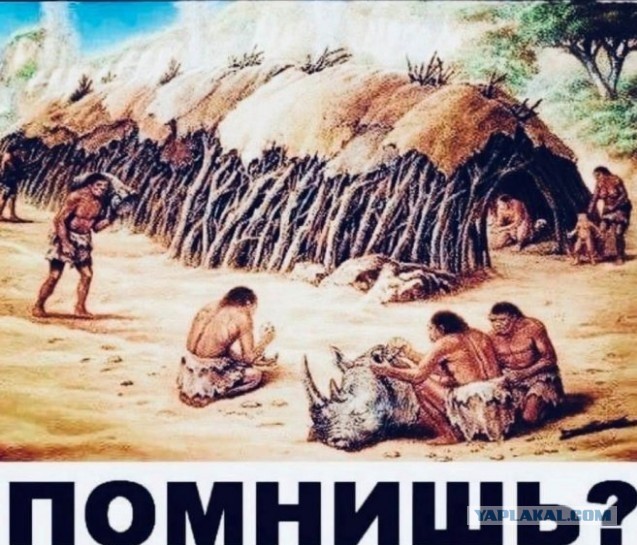 Картинки и мемы для настроения - 19