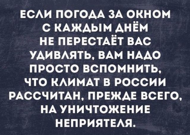 Картинки из рабочего чата 25.06