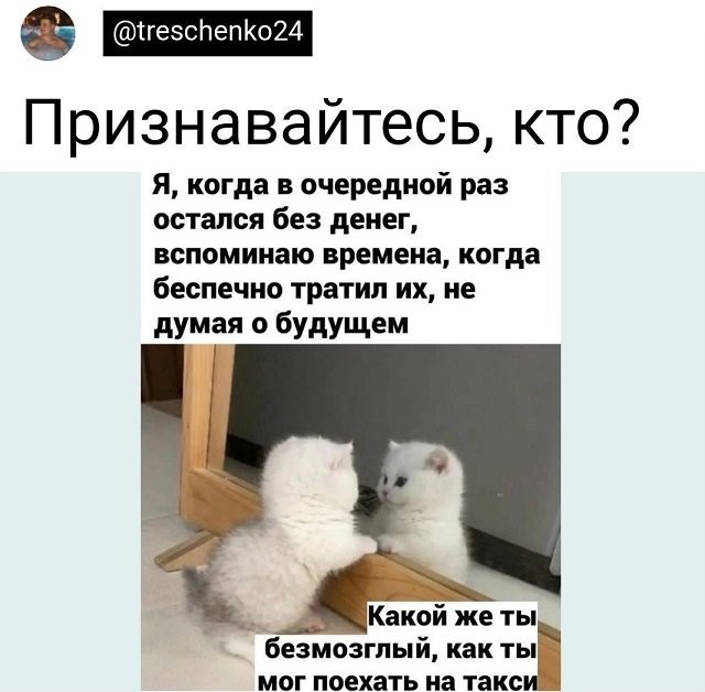 Скриншоты и комментарии из социальных сетей 6.08.22