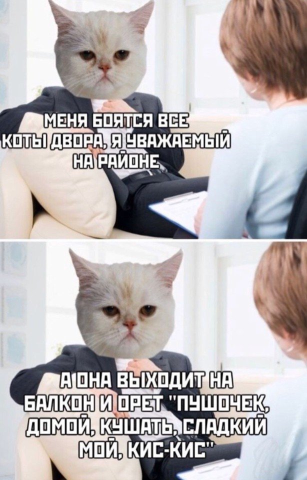 Картинки и мемы для настроения - 31