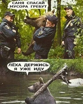 Юмор в картинках и без